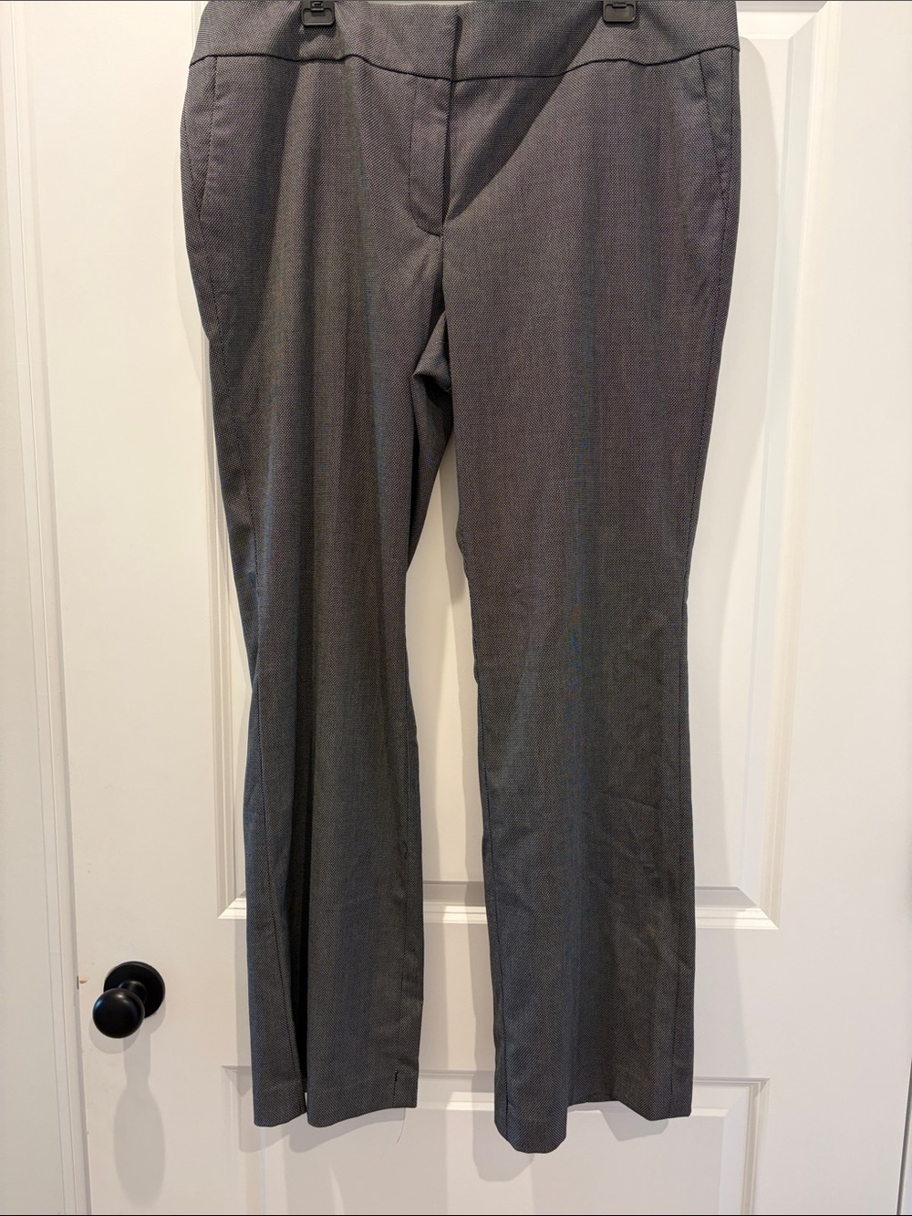 Ann Taylor signature trouser Pants, NWT